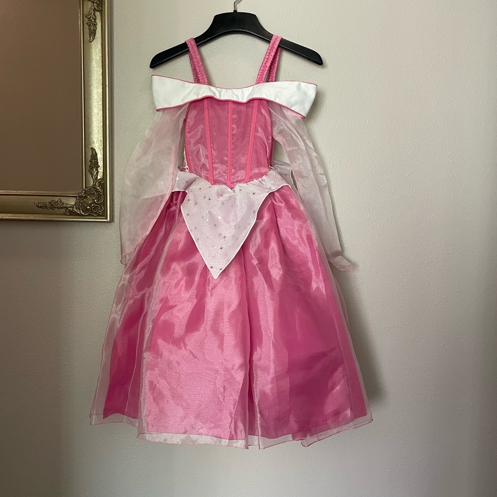 Princess Aurora Costume